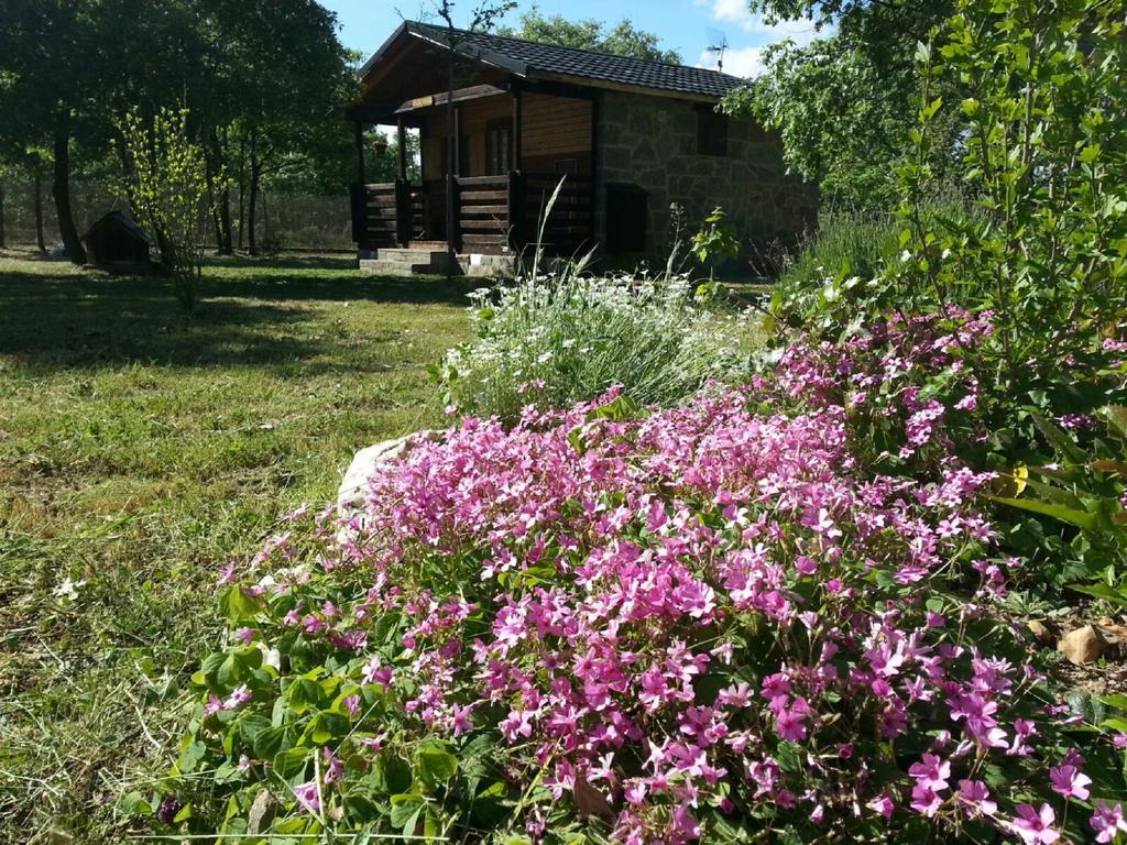 Cabanas Vallecino Manzanal de los Infantes Exteriér fotografie