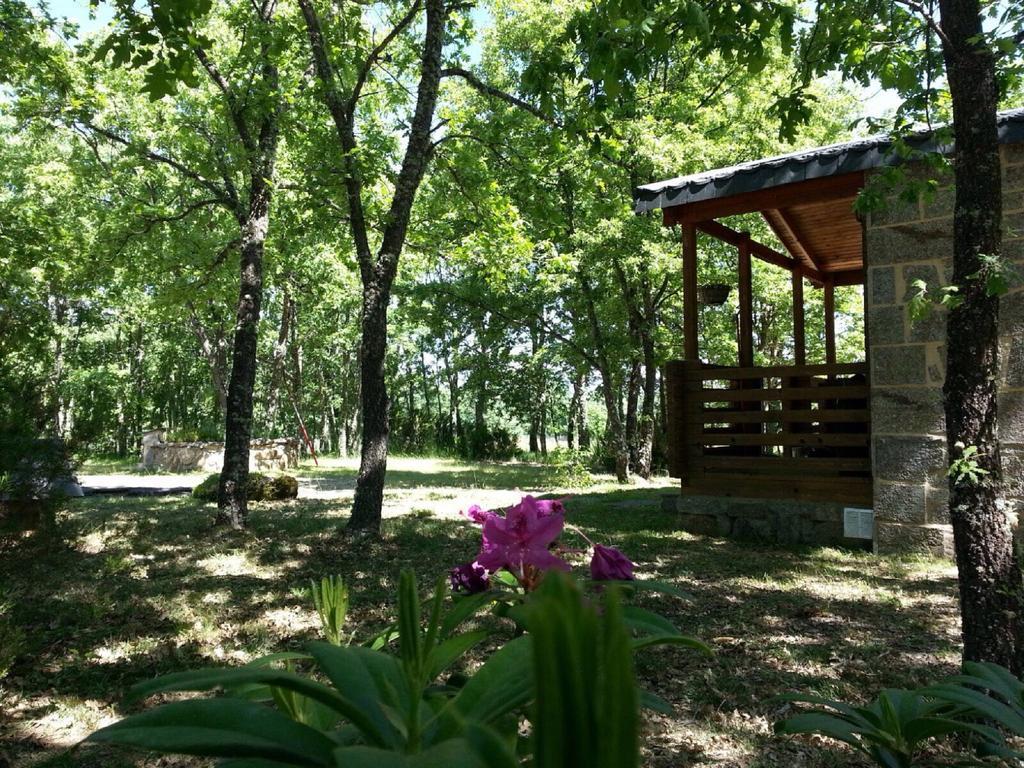 Cabanas Vallecino Manzanal de los Infantes Exteriér fotografie