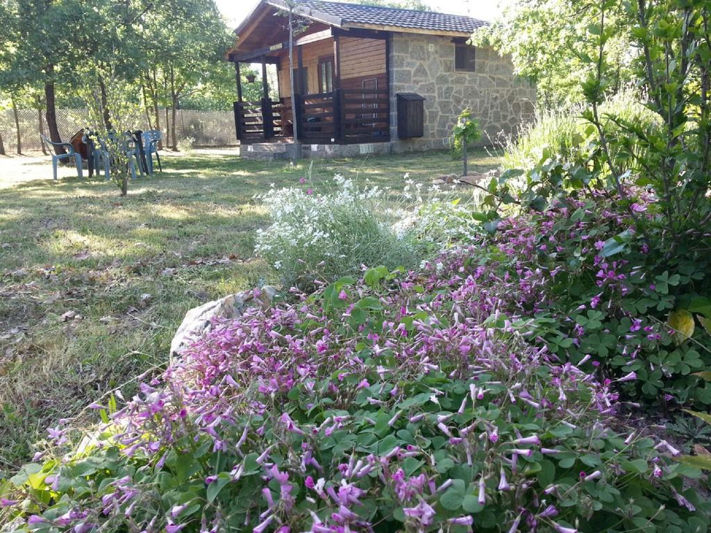 Cabanas Vallecino Manzanal de los Infantes Exteriér fotografie