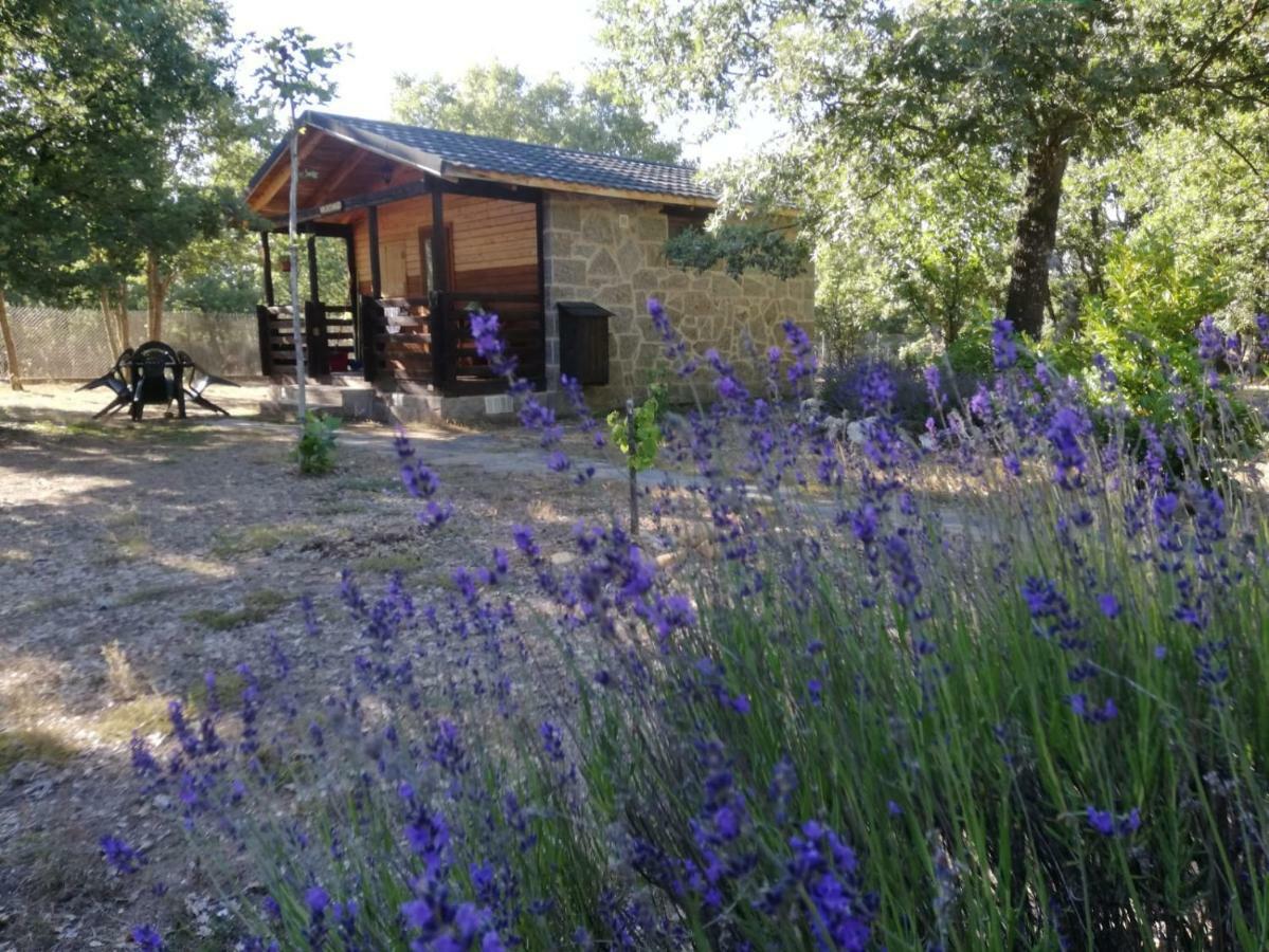 Cabanas Vallecino Manzanal de los Infantes Exteriér fotografie