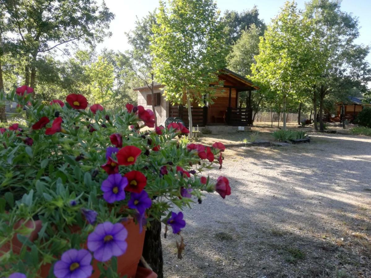 Cabanas Vallecino Manzanal de los Infantes Exteriér fotografie
