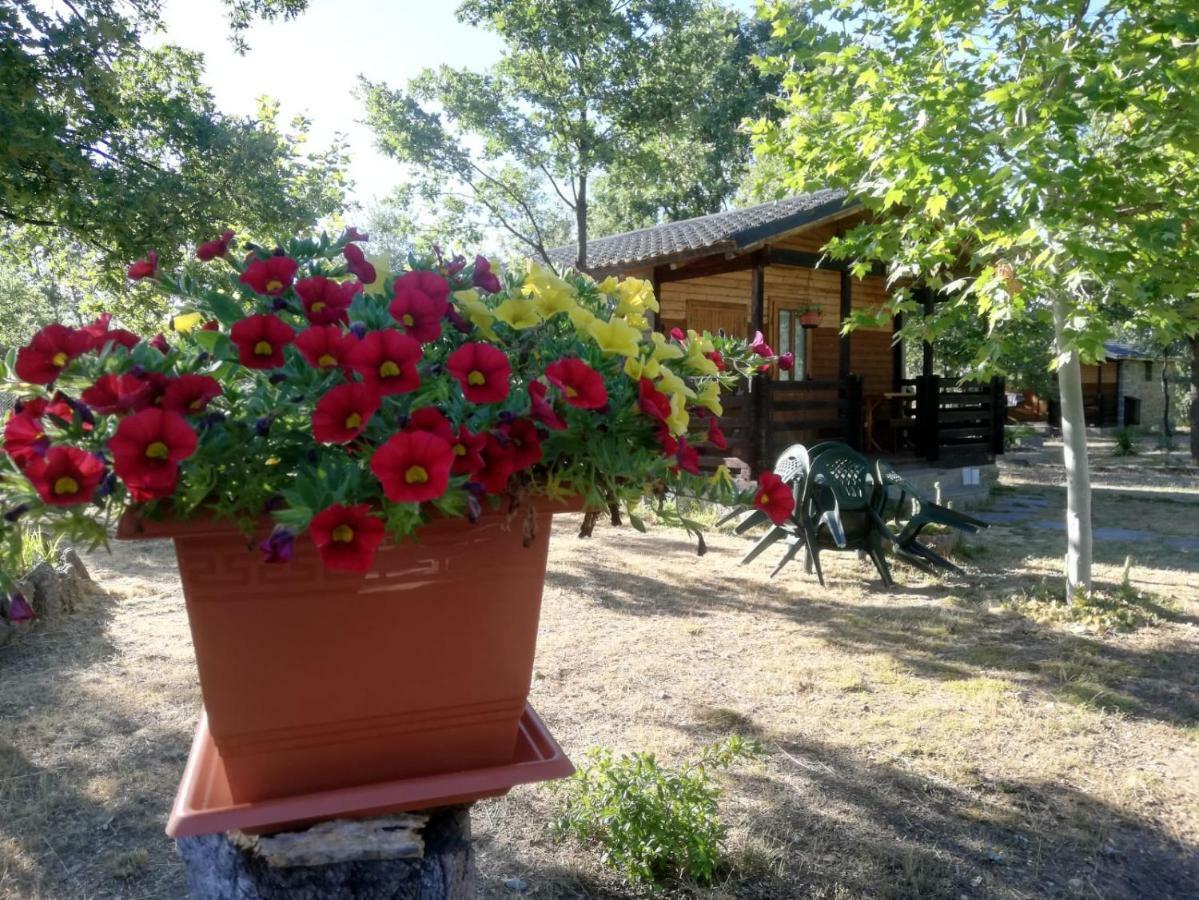 Cabanas Vallecino Manzanal de los Infantes Exteriér fotografie